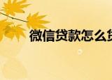 微信贷款怎么贷（微信贷款如何贷）