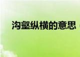 沟壑纵横的意思（沟壑纵横是什么意思）