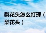 梨花头怎么打理（几个步骤教大家轻松打理好梨花头）