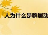人为什么是群居动物（人是群居动物原因）