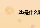2b是什么意思（2b的解释）