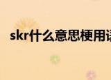 skr什么意思梗用语（网络语skr什么意思）