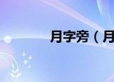 月字旁（月字旁都有什么字）