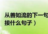 从善如流的下一句是什么（从善如流的下一句接什么句子）