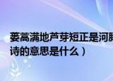 蒌蒿满地芦芽短正是河豚欲上时的意思（正是河豚欲上时古诗的意思是什么）