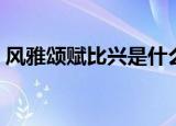 风雅颂赋比兴是什么（风雅颂赋比兴的意思）