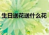 生日送花送什么花（生日适合送什么花好呢）