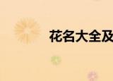 花名大全及花语（花语举例）