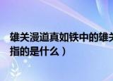 雄关漫道真如铁中的雄关指的是（雄关漫道真如铁中的雄关指的是什么）