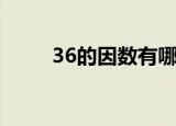 36的因数有哪些（36的因数简述）