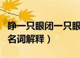 睁一只眼闭一只眼意思（睁一只眼闭一只眼的名词解释）