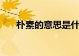 朴素的意思是什么（朴素是什么意思）