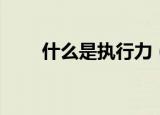 什么是执行力（个人执行力是什么）