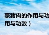 豪猪肉的作用与功效主要有哪些（豪猪肉的作用与功效）