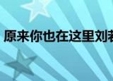 原来你也在这里刘若英歌词（一起来听听吧）