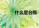 什么是台账（台账的简单介绍）