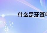 什么是牙签鸟（牙签鸟是什么）