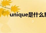 unique是什么意思啊（unique解释）