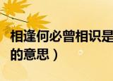相逢何必曾相识是什么意思（相逢何必曾相识的意思）