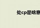 处cp是啥意思（处cp的解释）