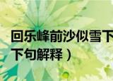回乐峰前沙似雪下句是什么（回乐峰前沙似雪下句解释）