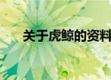 关于虎鲸的资料五年级（虎鲸的介绍）