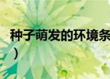 种子萌发的环境条件（种子萌发需要什么条件）