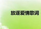 放逐爱情歌词（放逐爱情歌词全文）