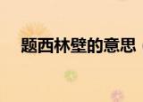 题西林壁的意思（题西林壁是什么意思）
