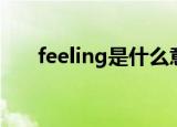 feeling是什么意思（feeling的含义）