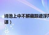 诗池上中不解藏踪迹浮萍一道开的意思（池上原文内容及翻译）