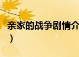 亲家的战争剧情介绍（亲家的战争电视剧简介）