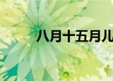 八月十五月儿圆歌词（歌词如下）