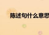 陈述句什么意思（陈述句的意思介绍）