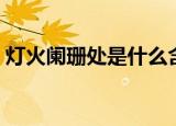 灯火阑珊处是什么含义（灯火阑珊处的解释）