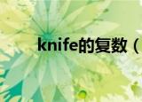 knife的复数（knife的复数是什么）