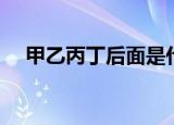 甲乙丙丁后面是什么（甲乙丙丁是什么）