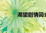 渴望剧情简介（渴望简介剧情）