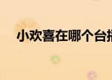 小欢喜在哪个台播出（小欢喜播出平台）