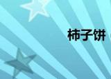 柿子饼（柿子饼介绍）