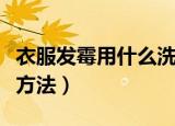 衣服发霉用什么洗掉霉斑（衣服发霉洗掉霉斑方法）