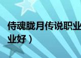 侍魂胧月传说职业推荐（侍魂胧月传说那些职业好）