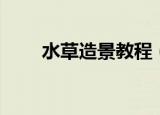 水草造景教程（水草造景教程详解）