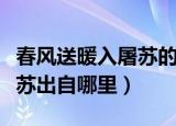 春风送暖入屠苏的屠苏指什么（春风送暖入屠苏出自哪里）