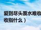 爱到尽头覆水难收什么意思（爱到尽头覆水难收指什么）