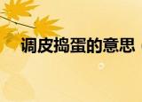 调皮捣蛋的意思（调皮捣蛋是什么意思）