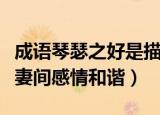 成语琴瑟之好是描述（成语琴瑟之好是描述夫妻间感情和谐）