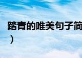踏青的唯美句子简短（有什么踏青的唯美句子）