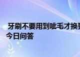  牙刷不要用到呲毛才换更换的频率最好是 9月13日蚂蚁庄园今日问答
