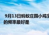  9月13日蚂蚁庄园小鸡宝宝问题 牙刷不要用到呲毛才换更换的频率最好是